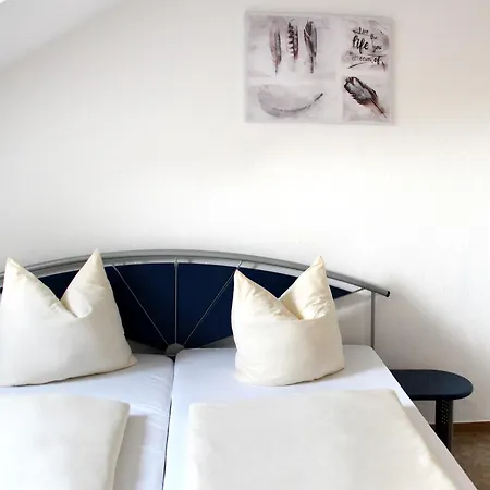 Djh Auberge de jeunesse *